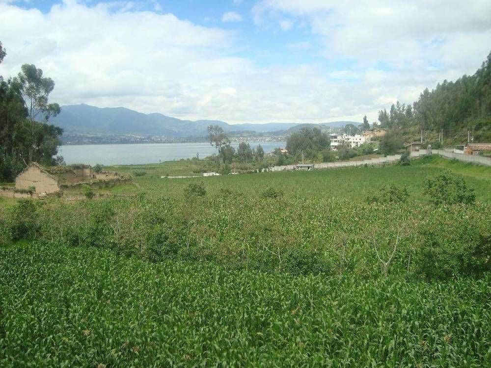 Casa De Luis Bed & Breakfast Otavalo Exterior foto